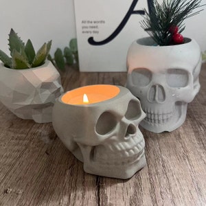 Può includere: Tre vasi a forma di teschio in cemento grigio. Un vaso contiene una candela accesa, un altro una piccola pianta grassa e il terzo una piccola pianta verde con bacche rosse.