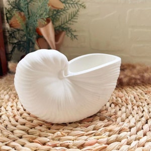 Könnte beinhalten: Weißer Keramik-Pflanztopf in Form einer Muschel. Der Topf steht auf einer geflochtenen Matte.