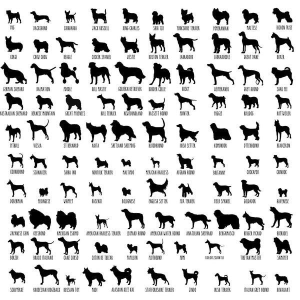 Dog Breed Silhouette, Mega Bundle Pack, Digital Download, Dog Breed SVG, Dog Silhouette svg,Dog Breeds, Dog Silhouette png