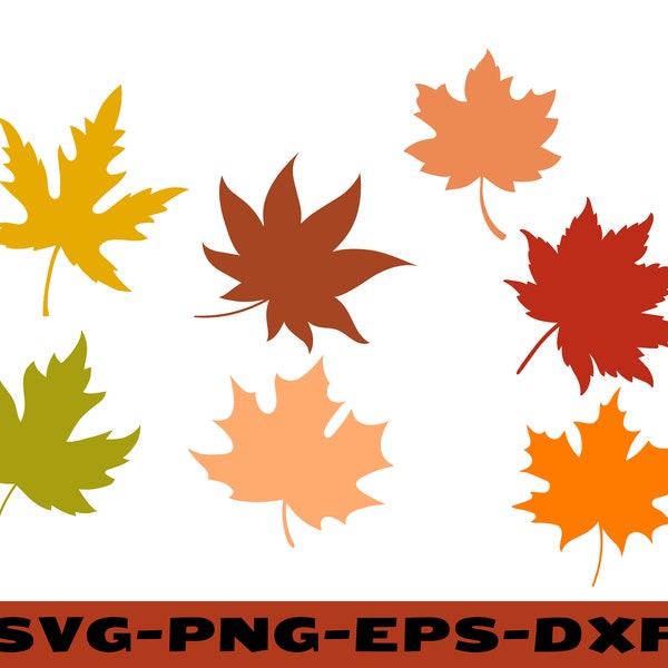 Fall Leaves Svg, Fall svg, Fall leaf svg bundle, Fall png, dxf, clipart, Cut files for Cricut, Glowforge files, Silhouette