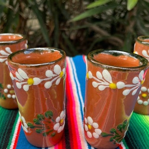 Talavera Shot Glasses, Mexican Tequila Tall Shooter Set, Hand Painted  Floral Design, Brown and White shot glasses /  set of 2