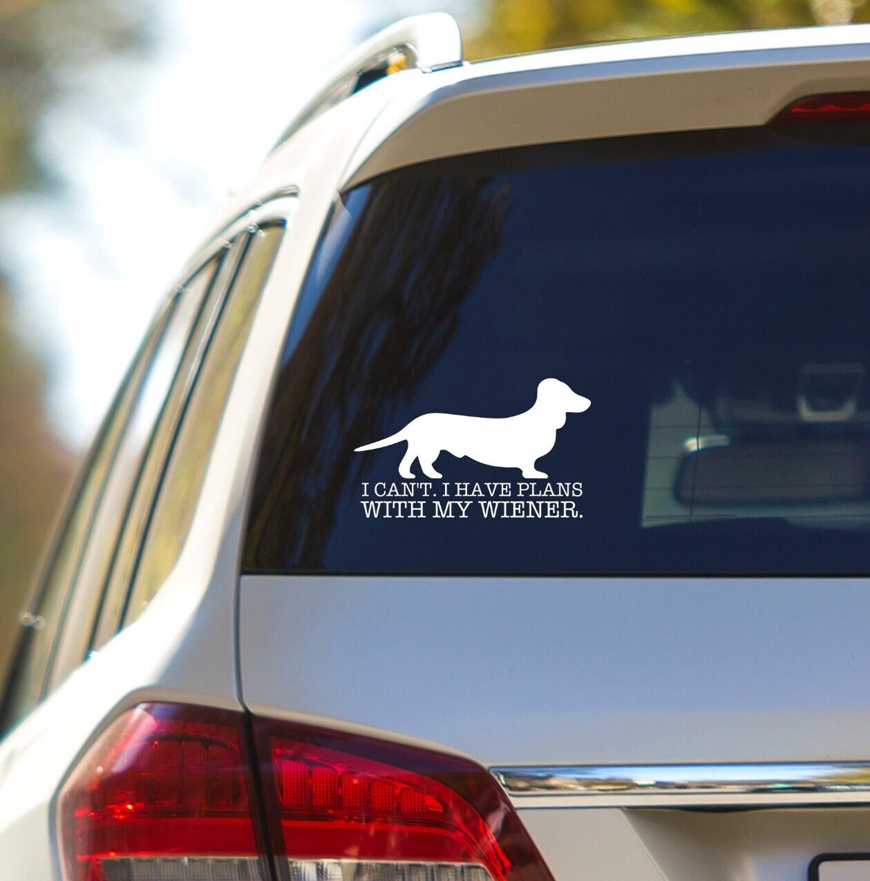 Dog Decal Funny Decal Dog Decal for Car Fur Baby Sign Dog Etsy