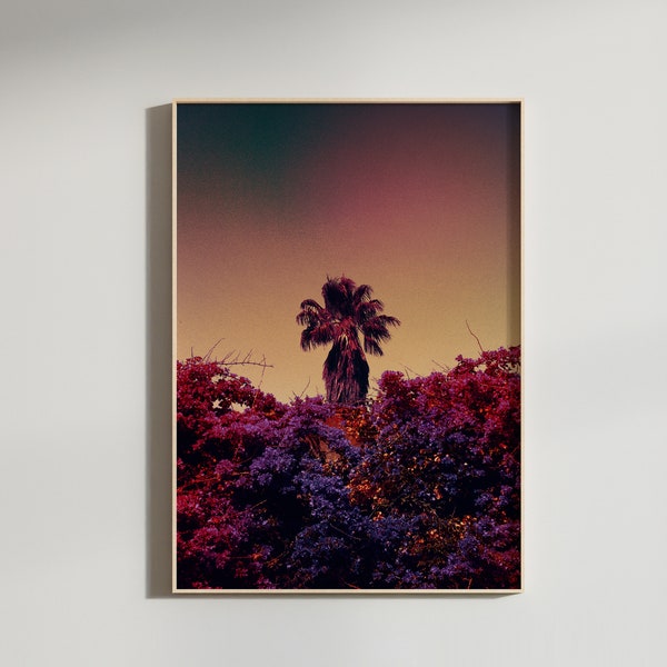 Fine Art Photo, Wall Art Print & Poster Palm Tree Photography 'Oliv'