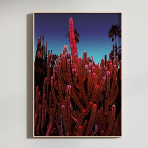 YSL Garden Kunstdruck | Kaktus Landschaftsbild | Marrakesch Wandkunst | Botanische Fotografie | Sukkulenten Poster | Exotische Garten Deko