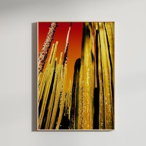 Kaktus Kunstdruck | Sonnenuntergang im mediterranen Stil I Fine Art Fotografie I Surreal Pop Art Poster I Mix Media Pflanzen Druck