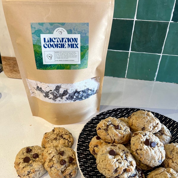 THE BEST Lactation Cookie Mix