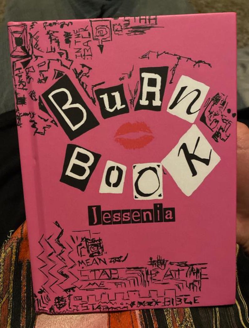 May include: Pink book with the title "Burn Book" in black letters with a red lip print in the center. The book is written by "Jessenia" in black letters.