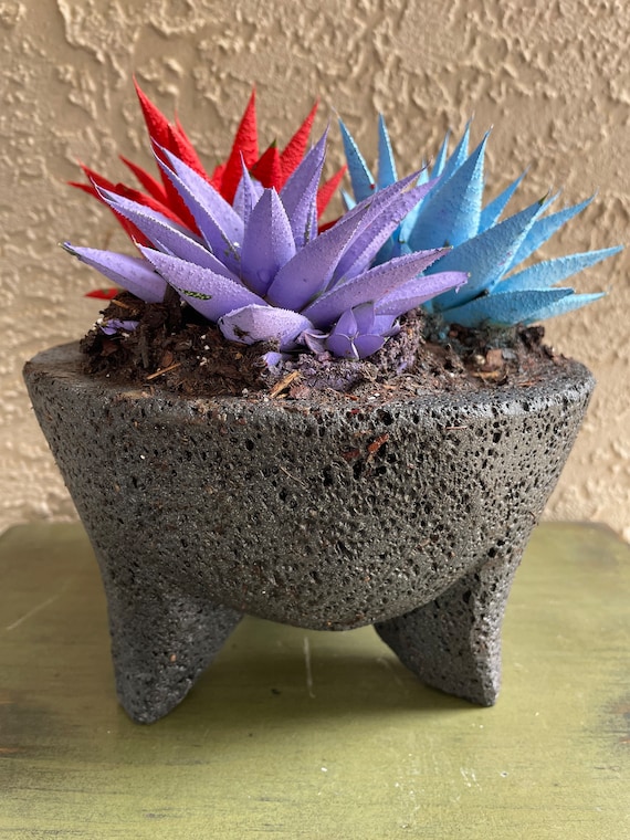 blue ceramic planter pots Blue Round Palm Tree Planter