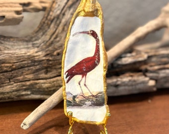 Decoupage scarlet ibis on a hand painted real oyster shell, beach combed along Florida’s Atlantic coast