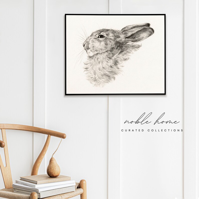 May include: Black and white pencil drawing of a rabbit's head with its ears perked up. The drawing is framed and hanging on a white wall.
