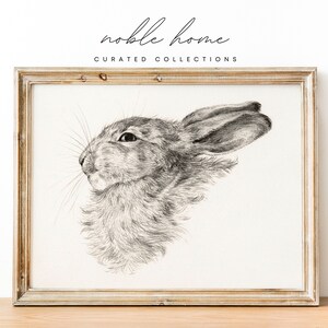 May include: A black and white pencil drawing of a rabbit's head in a light wood frame. The rabbit is looking to the right and has its ears perked up.