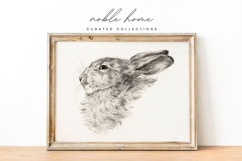 May include: A black and white pencil drawing of a rabbit's head in a light wood frame. The rabbit is looking to the right and has its ears perked up.