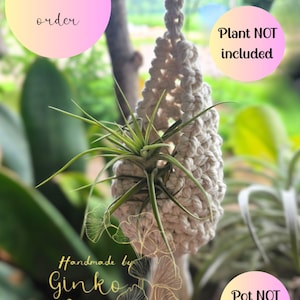 Handmade Macrame Plant hanger Pod, Air plant hanger, Boho decor, Boho plant hanger, Tasseled Hanger, Custom plant hanger, Boho Hippie pod