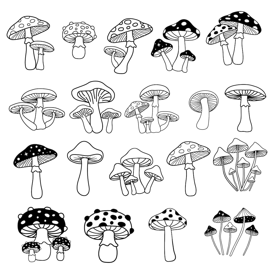 マッシュルーム様　オーダー専用ページ Mushrooms Misc Stencils - Dxf Svg Pdf Ai and Eps Formats- CNC
