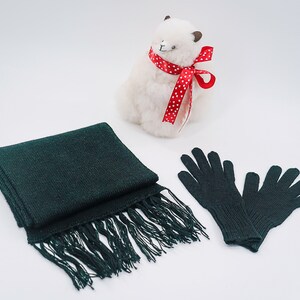 Baby Alpaca Set--Alpaca Gloves and Alpaca Scarf for him