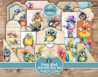 Funny Birds Junk Journal Ephemera Kit, Whimsical Scrapbook Fussy Cuts, Vintage Handmade Crafts, Digital Download, Envelopes, Tags, Pockets