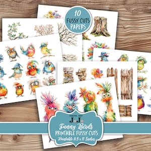 Grappige vogels kieskeurige bezuinigingen Kit, Junk Journal Ephemera, grillige Scrapbook Add On Set, vintage handgemaakte ambachten, digitale download, versieringen