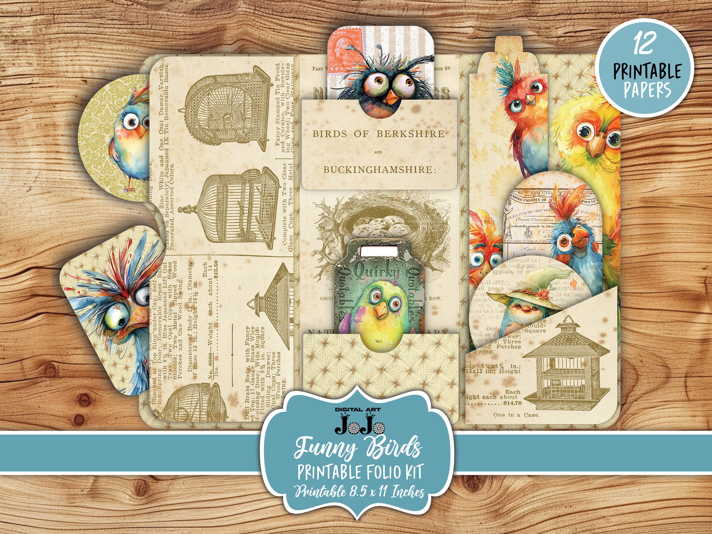 Funny Birds Printable Folio, Junk Journal Ephemera Kit, Whimsical Scrapbook Wallet, Vintage Folder, Handmade Paper Crafts, Digital Download
