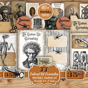Kit diario spazzatura del Gabinetto delle curiosità, forniture per album di ritagli del mondo oscuro, oggetti effimeri stampabili, download digitale, documenti inquietanti, pagina macabra