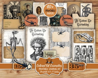 Rariteitenkabinet Junk Journal Kit, Dark Academia Scrapbook Supplies, afdrukbare ephemera, digitale download, griezelige papieren, macabere pagina