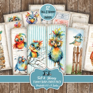 Funny Birds Tall And Skinny Junk Journal Pages, Whimsical Scrapbook Vintage Papers, Nature Collage Kit,  Digital Download, Thin Ephemera Set