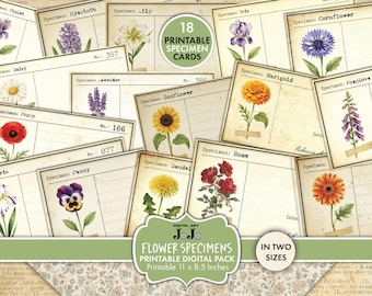 Junk Journal Flower Specimen Cards, Printable Vintage Botanical Scrapbook and Collage Ephemera, Digital Download