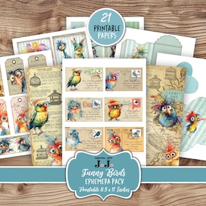 Kit de efêmeras de diário de lixo de pássaros engraçados, cortes caprichosos de álbum de recortes, artesanato vintage feito à mão, download digital, envelopes, etiquetas, bolsos