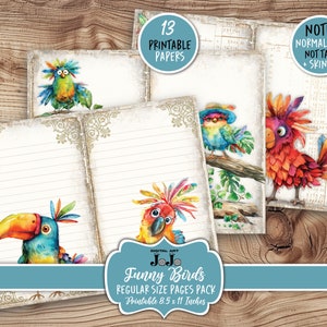 Funny Birds Junk Journal Pages Kit, Whimsical Scrapbook Vintage Papers, Nature Collage Kit,  Digital Download, Quirky Printable Ephemera Set