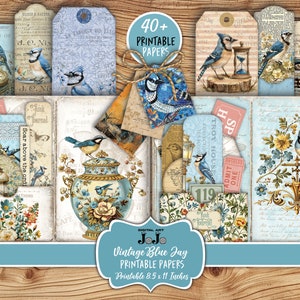 Kit de carnet de voyage oiseaux, papiers numériques nature, pages geai bleu, digis faits main thème vintage, documents éphémères imprimables, enveloppes, pochettes, lot d'étiquettes