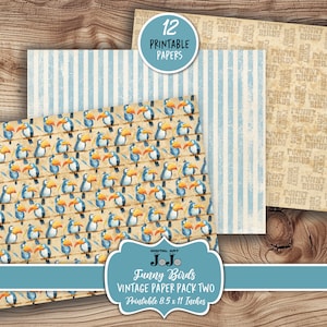 Pájaros divertidos imprimibles, papeles de diario basura, hojas de álbumes de recortes caprichosas, páginas vintage, kit de collage de naturaleza, descarga digital, conjunto de efímeras