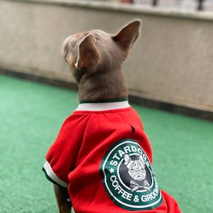 Dog clothe, Stardogs College -  Sweatshirt Dog - For Small Breeds (0-15kg) - Dog clothes - Dog clothing - SalyaStoreCo