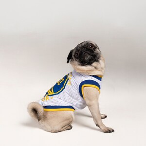 Warriors dog clearance sweater