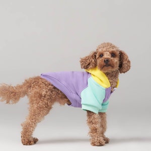 Positive Vibes Dog Sweatshirt For Small Breeds 0-15kg Dog Clothes Dog Clothing SalyaStoreCo image 1