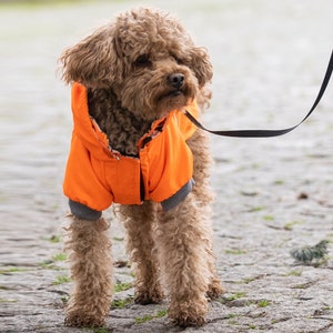 Neon Orange Design Dog Coat - For Small Breeds (0-15kg) - Dog Raincoat - Dog Clothes - Dog Clothing - SalyaStoreCo