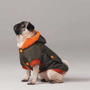Forest Design Dog Coat - Small Breed (0-15 kg) - Dog Raincoat - Dog Clothing - SalyaStoreCo