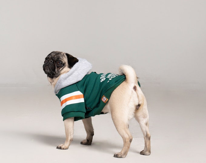 Baseball Khaki Dog Hoodie -  Sweatshirt Dog - For Small Breeds (0-15kg) - Dog Clothes - Dog Clothing - SalyaStoreCo