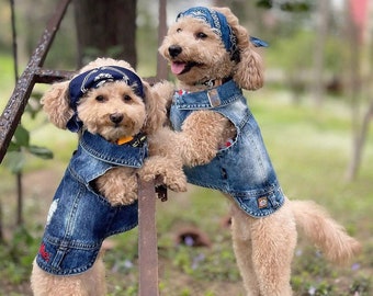 Dog clothe, Tickle Me Embroidered Denim Dog Vest - Stylish & Durable Jacket for Small Breeds
