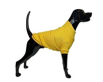 Turtleneck Knitwear Yellow -  Handmade Dog Turtleneck Knitwear - Small Breeds (0-15kg) - SalyaStoreCo