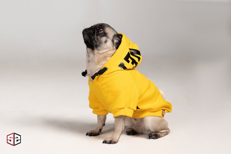 Dog & Human Matching Hoodie Set Yellow Oversize Sweatshirt Set