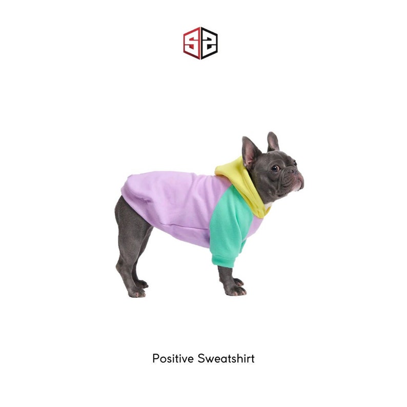 Positive Vibes Dog Sweatshirt For Small Breeds 0-15kg Dog Clothes Dog Clothing SalyaStoreCo image 3