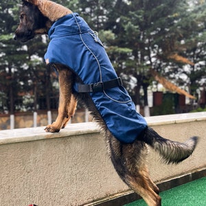 Dog clothe, Dog raincoat, Dog coat, Dog Blue Raincoat for medium and large breed dogs 12-55Kg