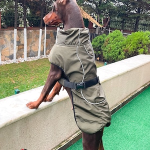Dog clothe, Dog Raincoat for medium and large breed dogs 12-55Kg