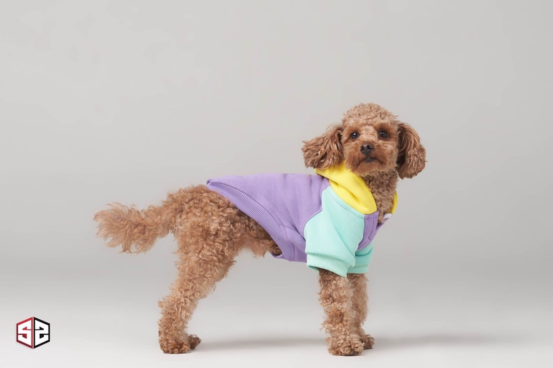 Positive Vibes Dog Sweatshirt For Small Breeds 0-15kg Dog Clothes Dog Clothing SalyaStoreCo image 1