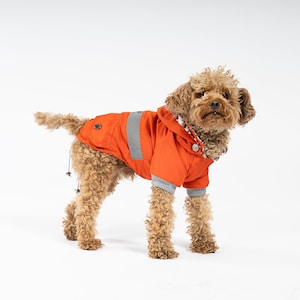 Dog Raincoat Orange Design - For Small Breeds (0-15kg) - Dog Raincoat - Dog Clothes - Dog Clothing - SalyaStoreCo