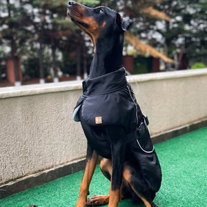 Dog clothe, Big Breeds Dog raincoat, Dog coat, Dog Black Raincoat for medium and large breed dogs 12-55Kg