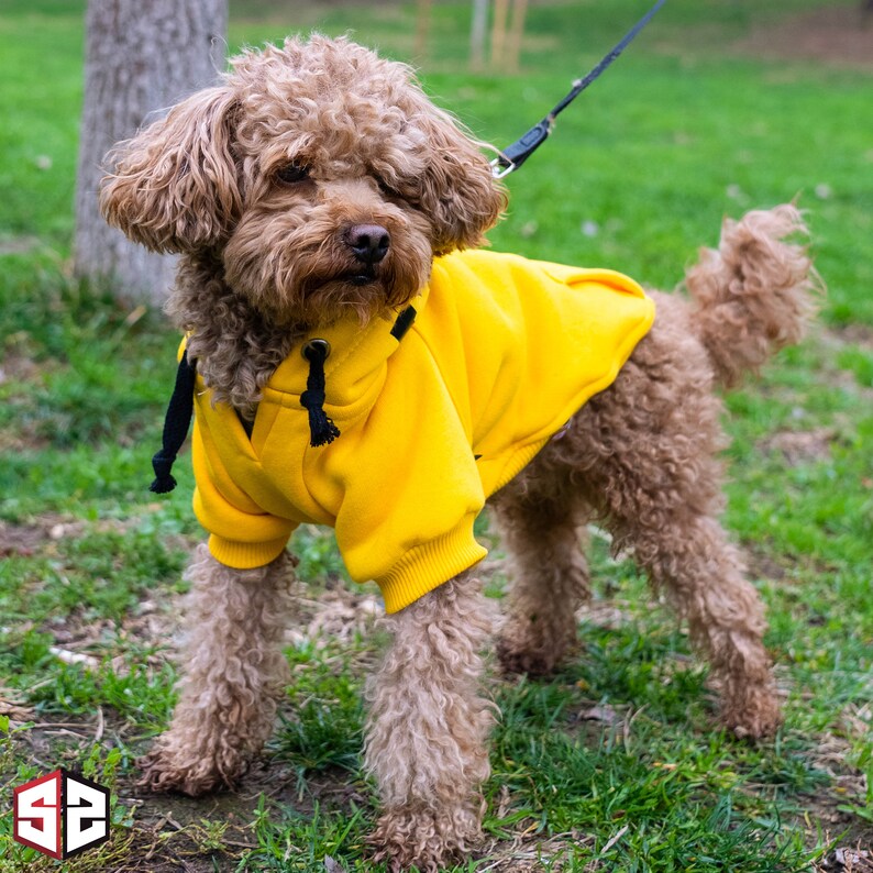 Dog & Human Matching Hoodie Set Yellow Oversize Sweatshirt Set