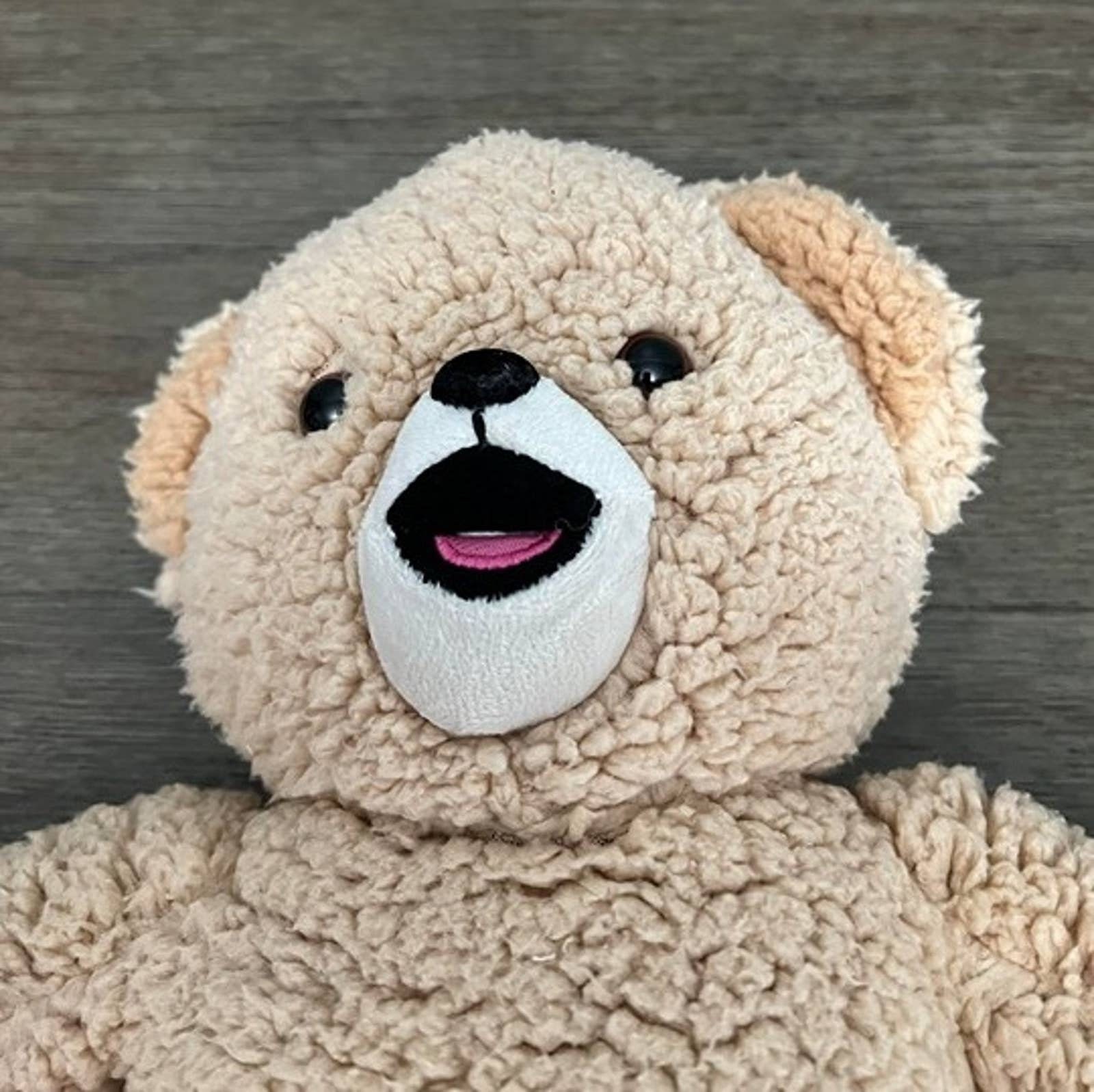 Snuggle Bear Fabric Softener Mascot Plush Vintage Etsy