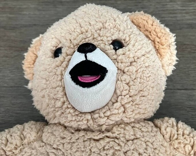 Snuggle Bear Fabric Softener Mascot Plush Vintage Etsy