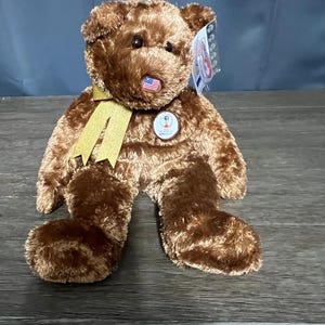 Vintage 2002 Ty Beanie Buddies Fifa Champion USA Teddy Plush