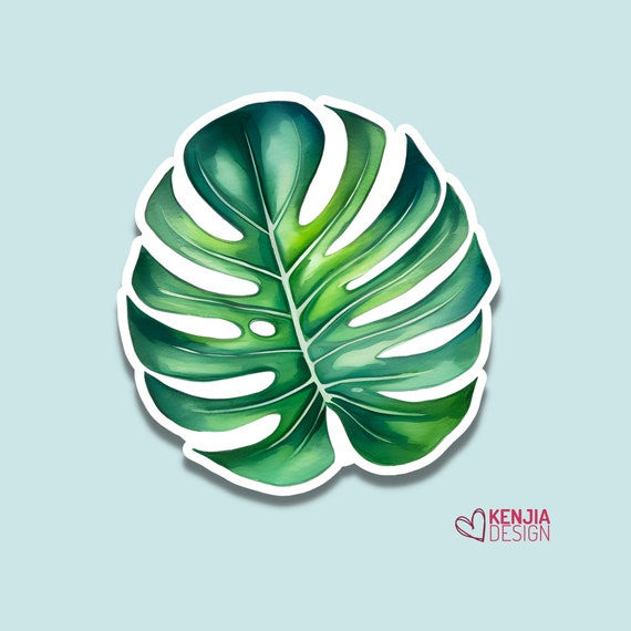 Monstera Leaf Stickers | Watercolor Waterproof Sticker | House Plants Lover  Water Bottle Sticker | Monstera Art - Etsy
